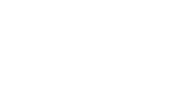 Ali M Saleh Logo